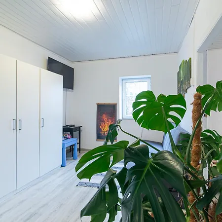 Treehouse 公寓 格但斯克
